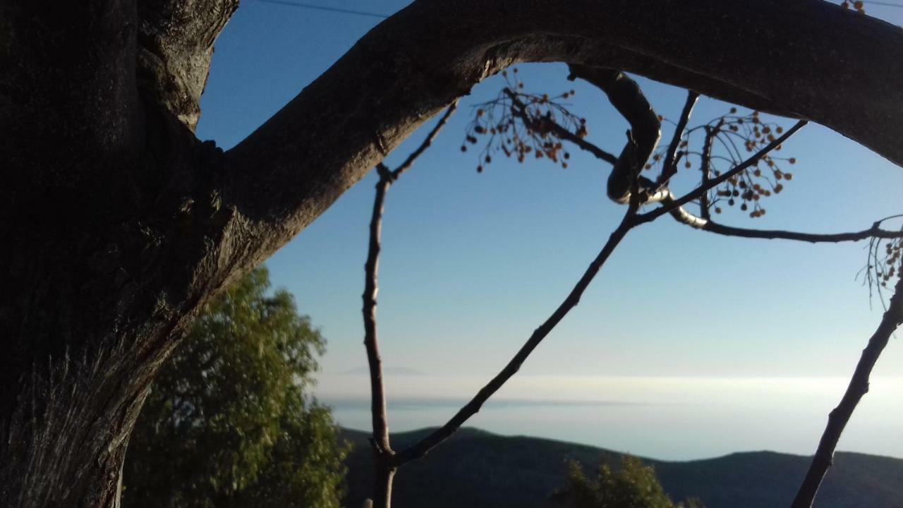 Katoikia Spathi Spathi  Esterno foto